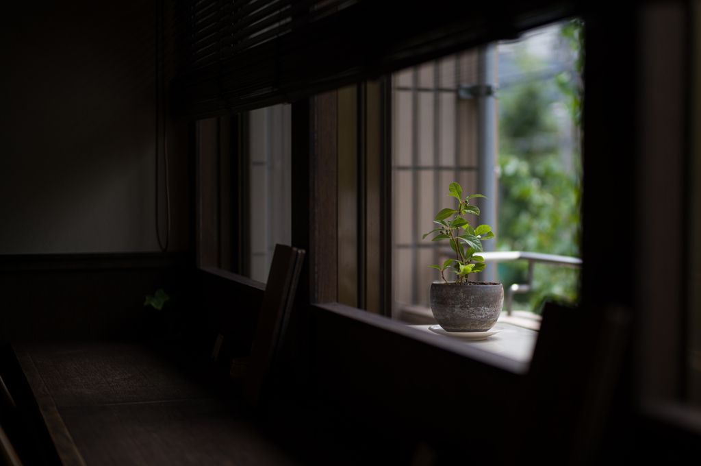 喫茶　窓辺のあかり