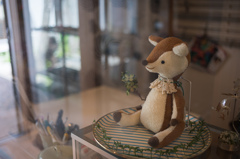 奈良散策　可愛い子鹿