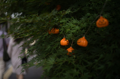 ハロウィン
