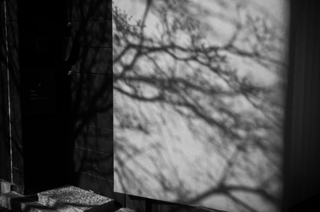 木枯らしの中で