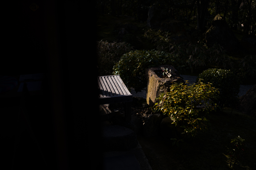 京都妙心寺　退蔵院　7