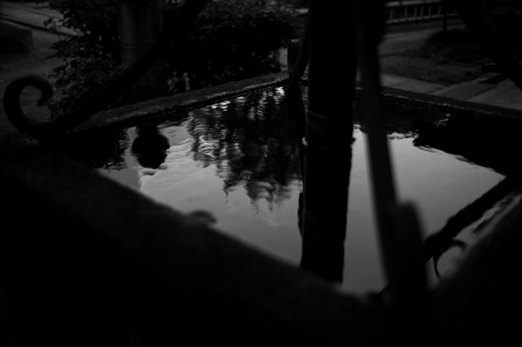水面の風景