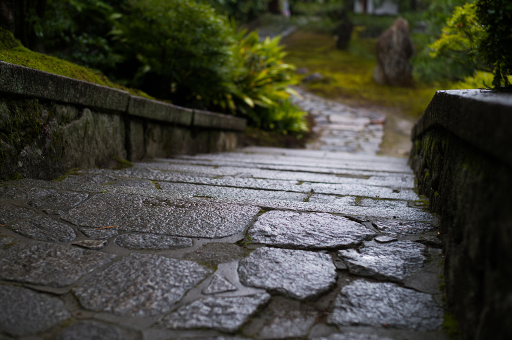 建仁寺塔頭両足院　雨上がりの石階段