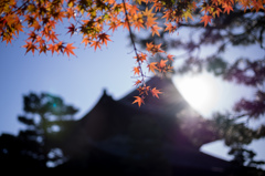 建仁寺の秋