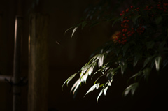 京都祇王寺　12