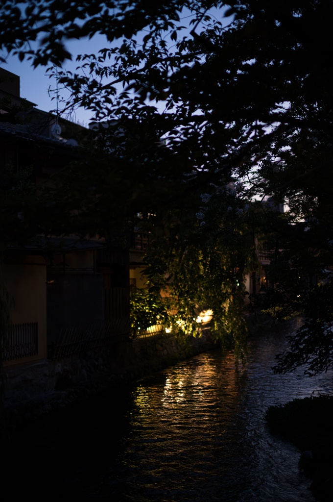 祇園の川夜