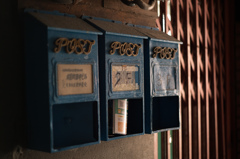 過去との撮り比べ