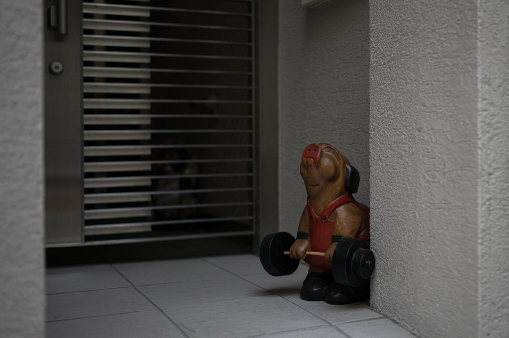 踏ん張る豚ちゃん