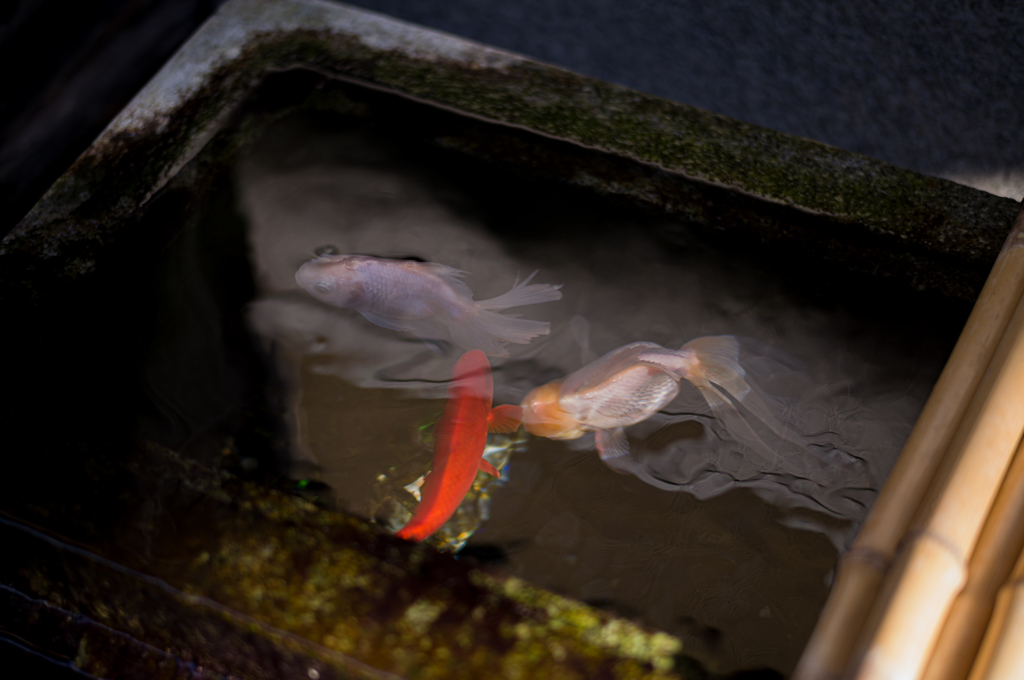 ぬるっとした水の表情