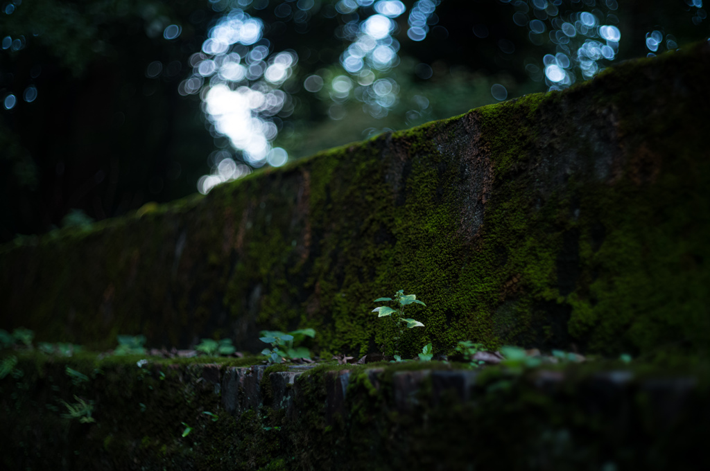 しずかな佇まい