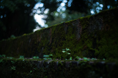 しずかな佇まい