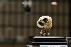 京都清宗根付館　8月展　2