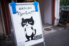 ネコ