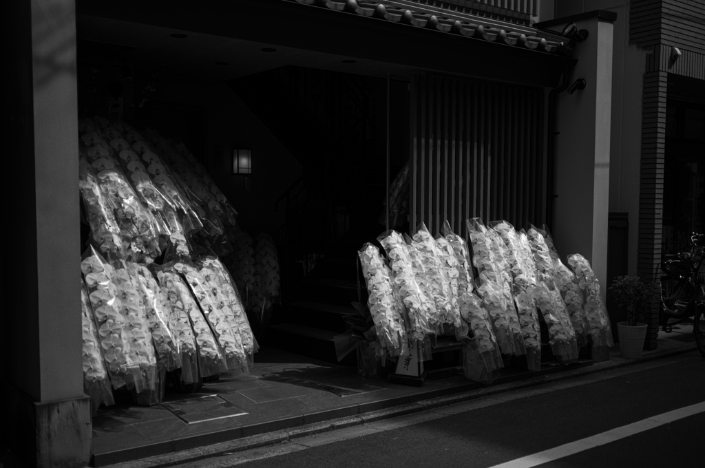 お祝いいっぱい