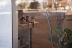 スタイル抜群なカップル