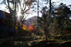 京都南禅寺　紅葉20