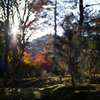 京都南禅寺　紅葉20