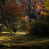 京都南禅寺　紅葉17