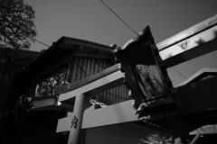 神社参拝