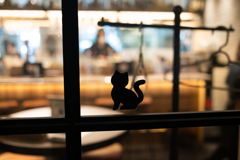 黒猫