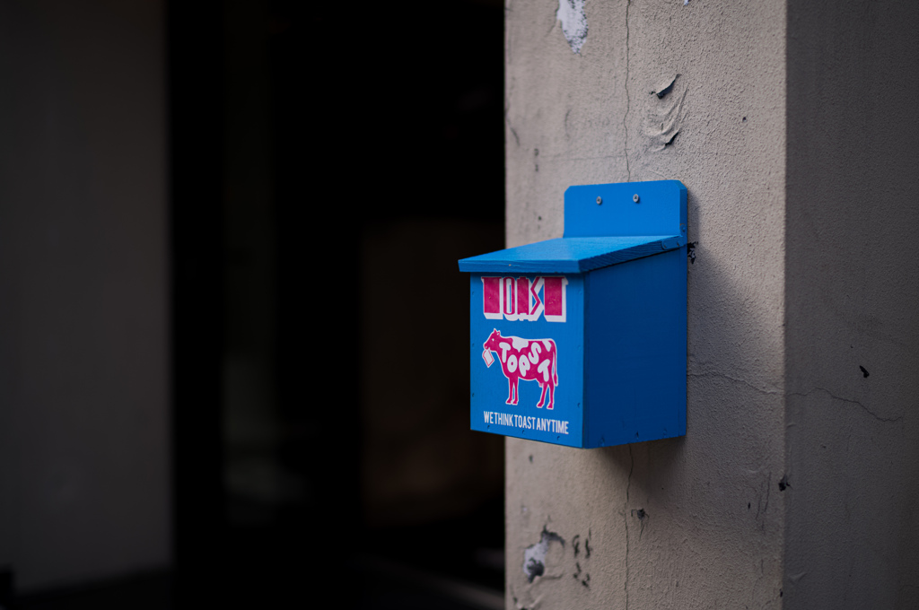 ビビットカラー