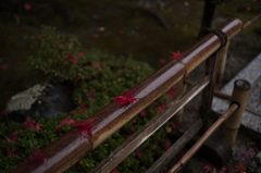 京都嵯峨嵐山　3