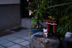 小さな福來る