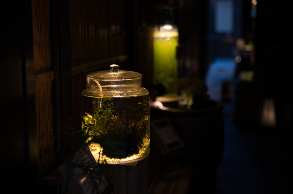 いつもの路地　撮り比べ