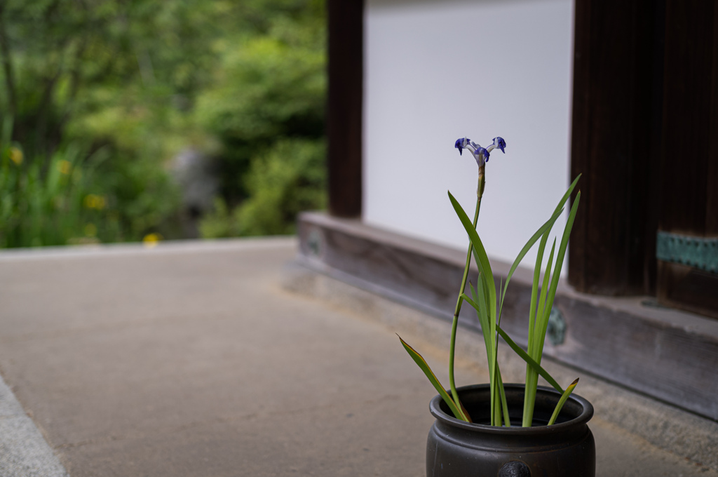 白沙村荘・橋本関雪記念館　18