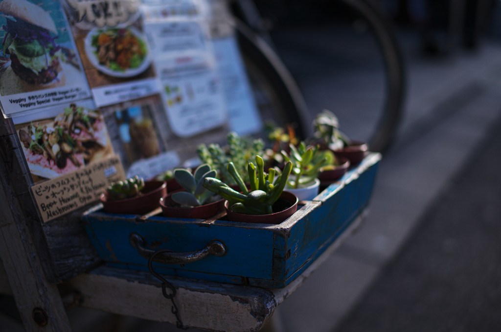 スモールガーデン