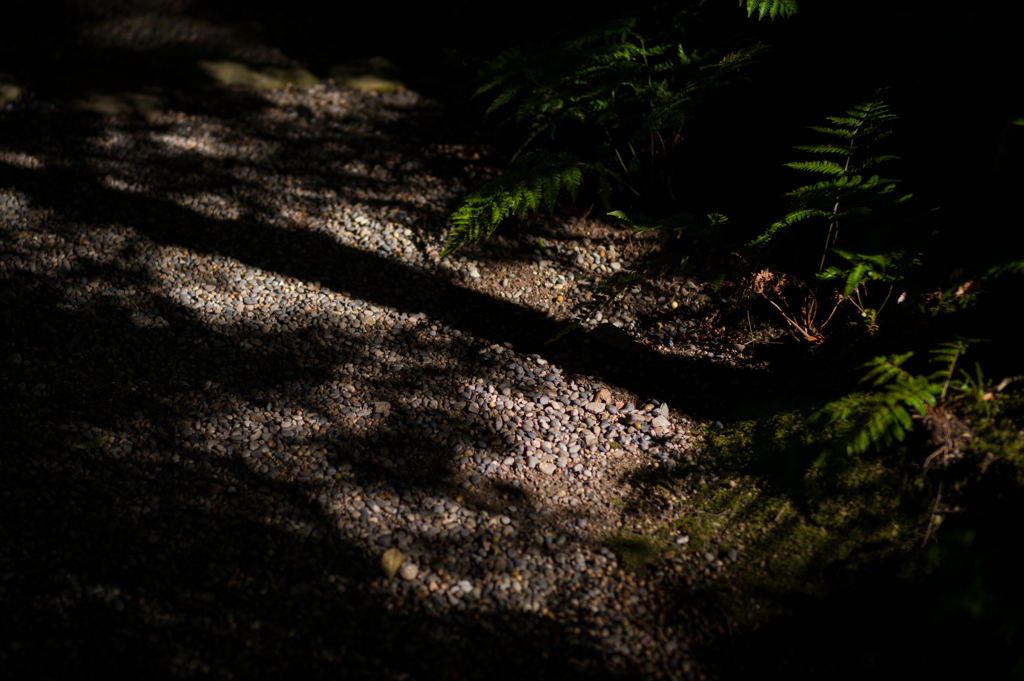 奈良吉城園　24