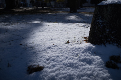 雪の名残り