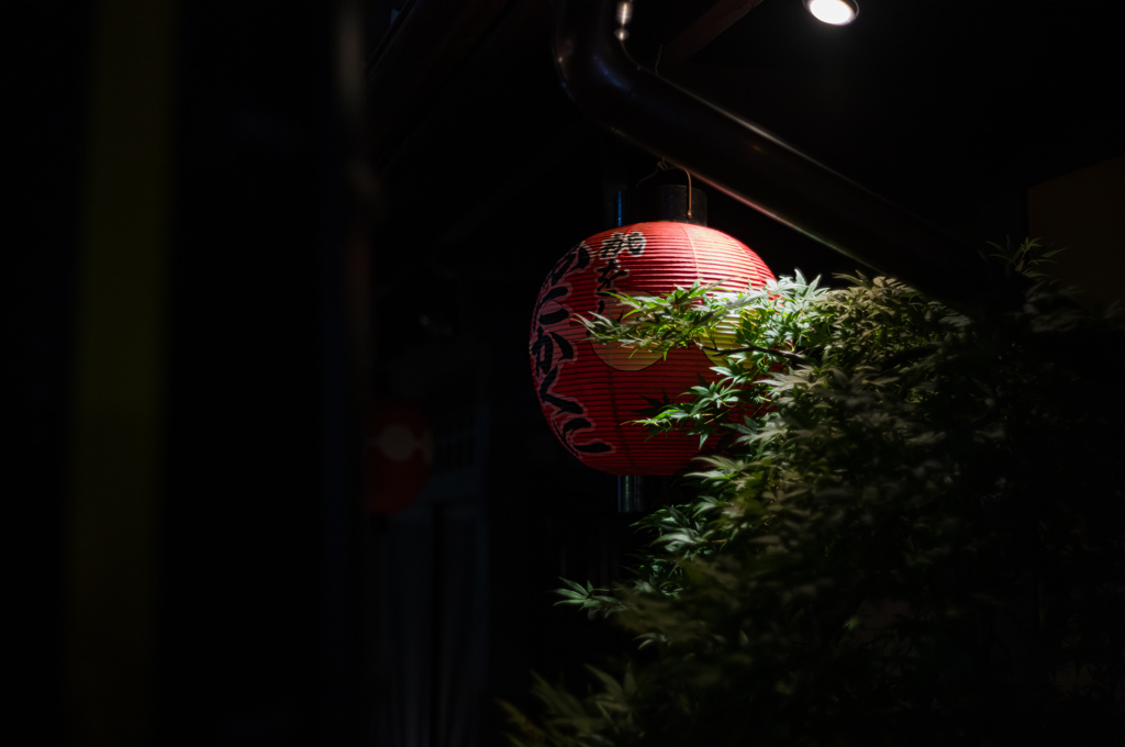 夜の陰から
