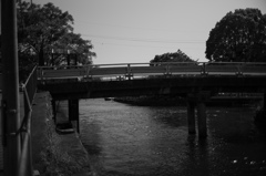 橋と川