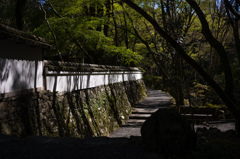 石垣の道
