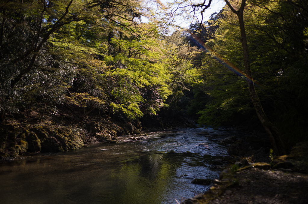 午後の川辺