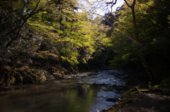 午後の川辺