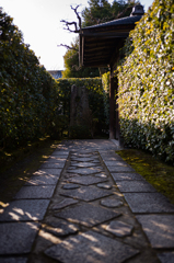 京都妙心寺　退蔵院　8