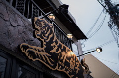 タイガー