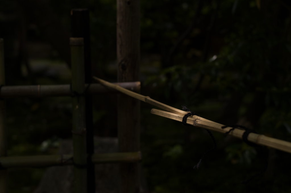 光と影と。その15