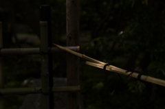 光と影と。その15