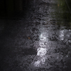 雨の跡
