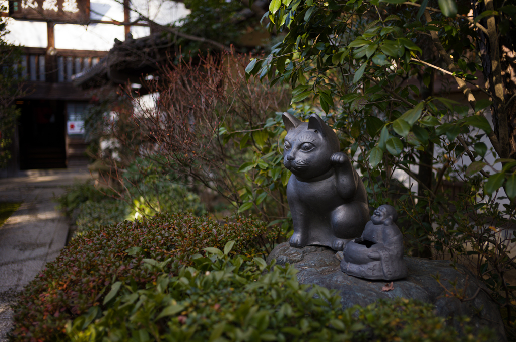 京都妙心寺　退蔵院　1