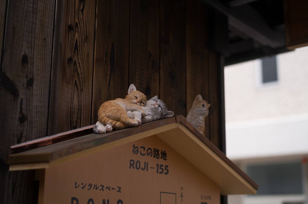 にゃんこのある風景。その2