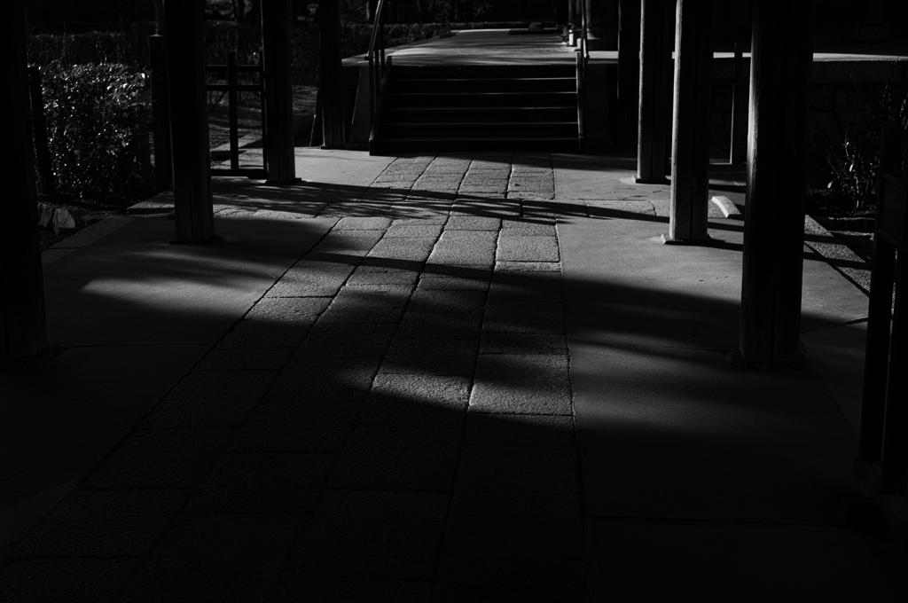 石と木のコントラスト