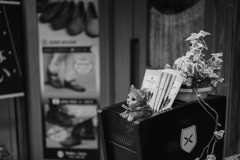 オールドレンズでお散歩