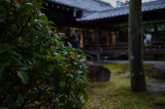 京都建仁寺　4