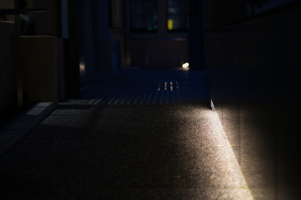 木屋町の夜。足元のあかり