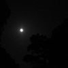 月夜