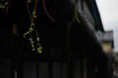 雨上がりの町家
